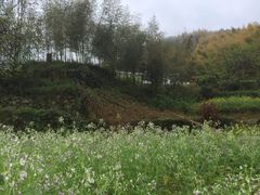 景点-新安江山水画廊风景区