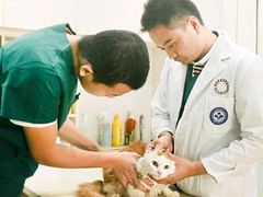 -瑞派康怡24h宠物医院·犬猫医疗中心·微创绝育(瑞景分院)