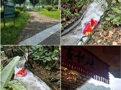 -飞来湖湿地公园