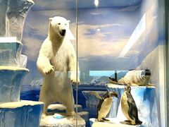 -国家自然博物馆