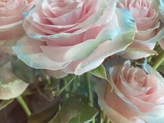 -L.C FLORA花予你(城西银泰城店)