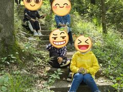 -青龙山国家森林公园