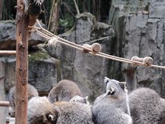 -杭州野生动物世界