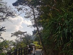 -羚羊峡古栈道森林公园