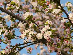 -济南国际园博园