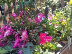 -国生茶庄·地道农家菜团建活动