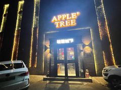 -苹果树下艺术餐厅(通州店)