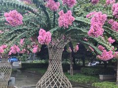 -杭州城北体育公园