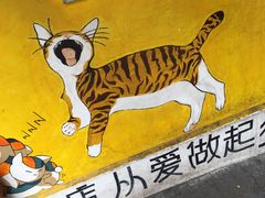 -猫街饭团(顶澳仔猫街店)