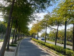 -上海长兴岛郊野公园