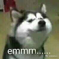 -卡吉诺动物奶油生日蛋糕(东明路店)