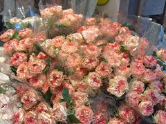 -循礼门鲜花花市(武汉循礼门店)