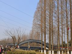 -蜀绣公园