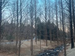 -白水寺森林公园