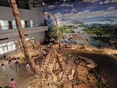 -自贡恐龙博物馆