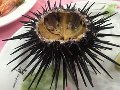 蒸海胆-阿兴生鱼片(大光路店)