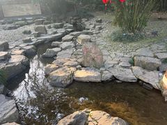 -兰亭风景区