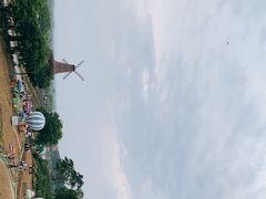 -大塘金香草谷