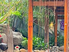 -泉眼温泉