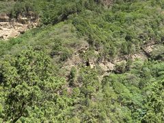 -北京上方山国家森林公园