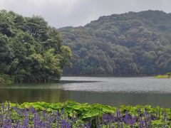 -广州市石门国家森林公园
