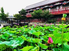 -万源龙顺度假庄园生态观光园