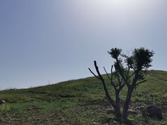 -恋山坝上草原