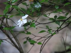 -宁波五龙潭景区