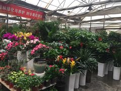 -秦美花卉(天朗·莱茵小城2期店)