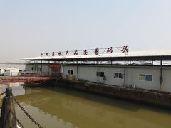 -大湾区中央湿地公园-十九涌