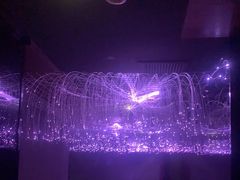 -臻江南影院式足道(雅安店)