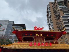 -越秀西湖花市(广州城市广场花卉店)