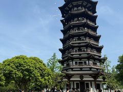 -洋湖国家湿地公园