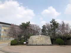 -北京国家会计学院