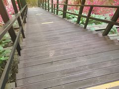 -京东石林峡风景区