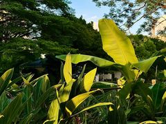 -晓港公园