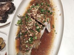 -杨氏青龙虾·羊蝎子(金盛路总店)