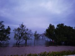 -宝安西湾红树林湿地公园