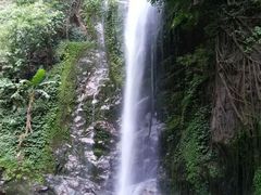 -莫里热带雨林景区