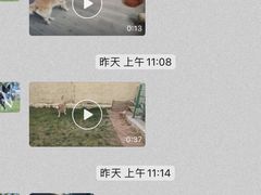 -趣玩宠物乐园寄养训犬训狗游泳池