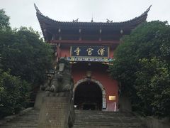 -铁山坪森林公园