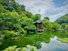 -云溪植物园