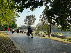 -东莞植物园