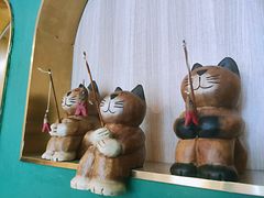 -飞行喵MR PILOT|猫舍·猫咖(静安大融城店)