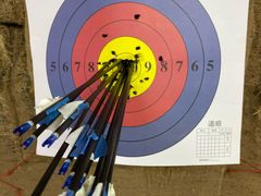 -道顺射箭·团建·骑射(张杨路店)