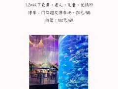 -泉城欧乐堡海洋极地世界