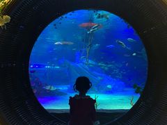 -沈阳海洋探索中心