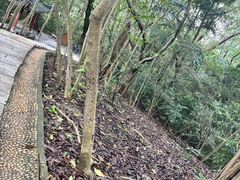 -莲花山公园