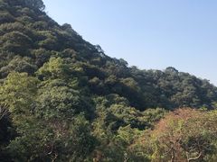 -北仑森林植物园