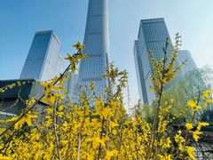 -中央广播电视总台(光华路办公区)